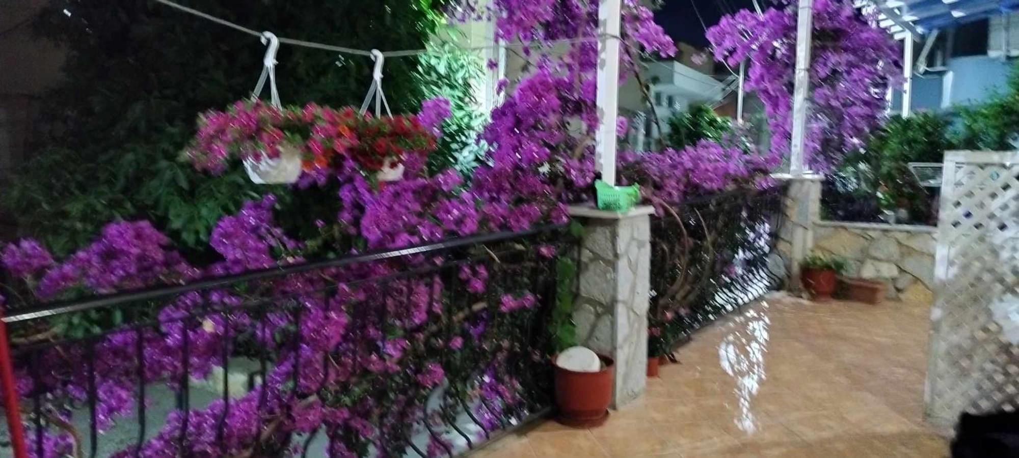 Elena Apartamento Sarandë